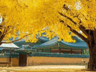 韩国外贸数据,外贸数据,USDT钱包外贸数据 韩国外贸数据,外贸数据,USDT钱包外贸数据