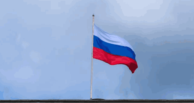 进出口, 进出口数据, 俄罗斯进出口数据 进出口, 进出口数据, 俄罗斯进出口数据